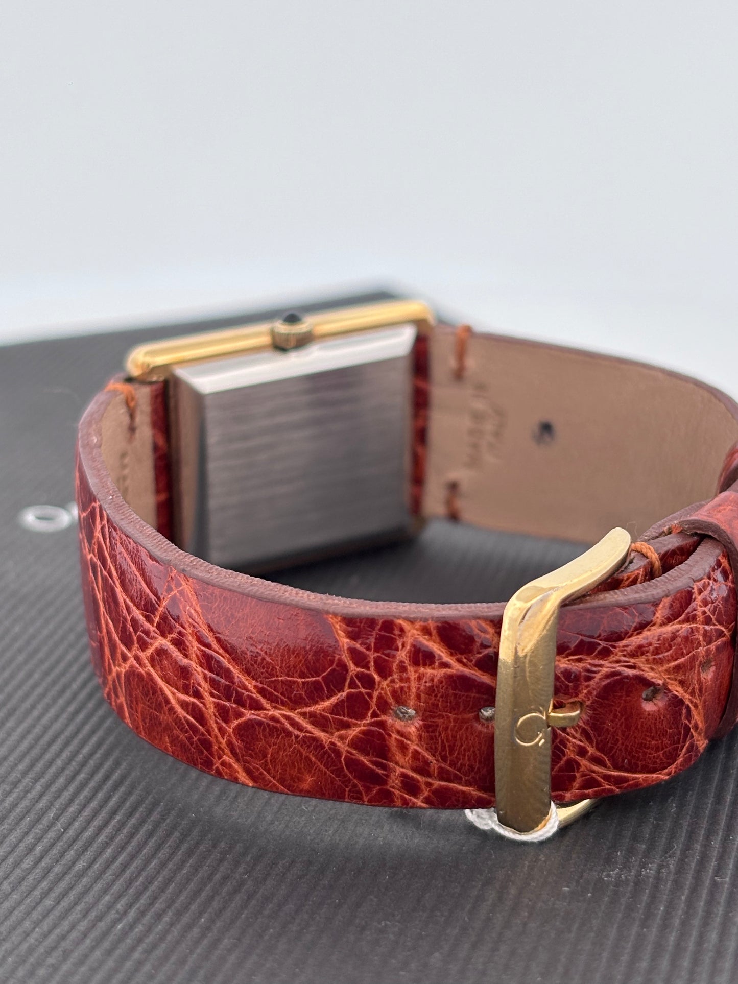 OMEGA GOLD AND STEEL