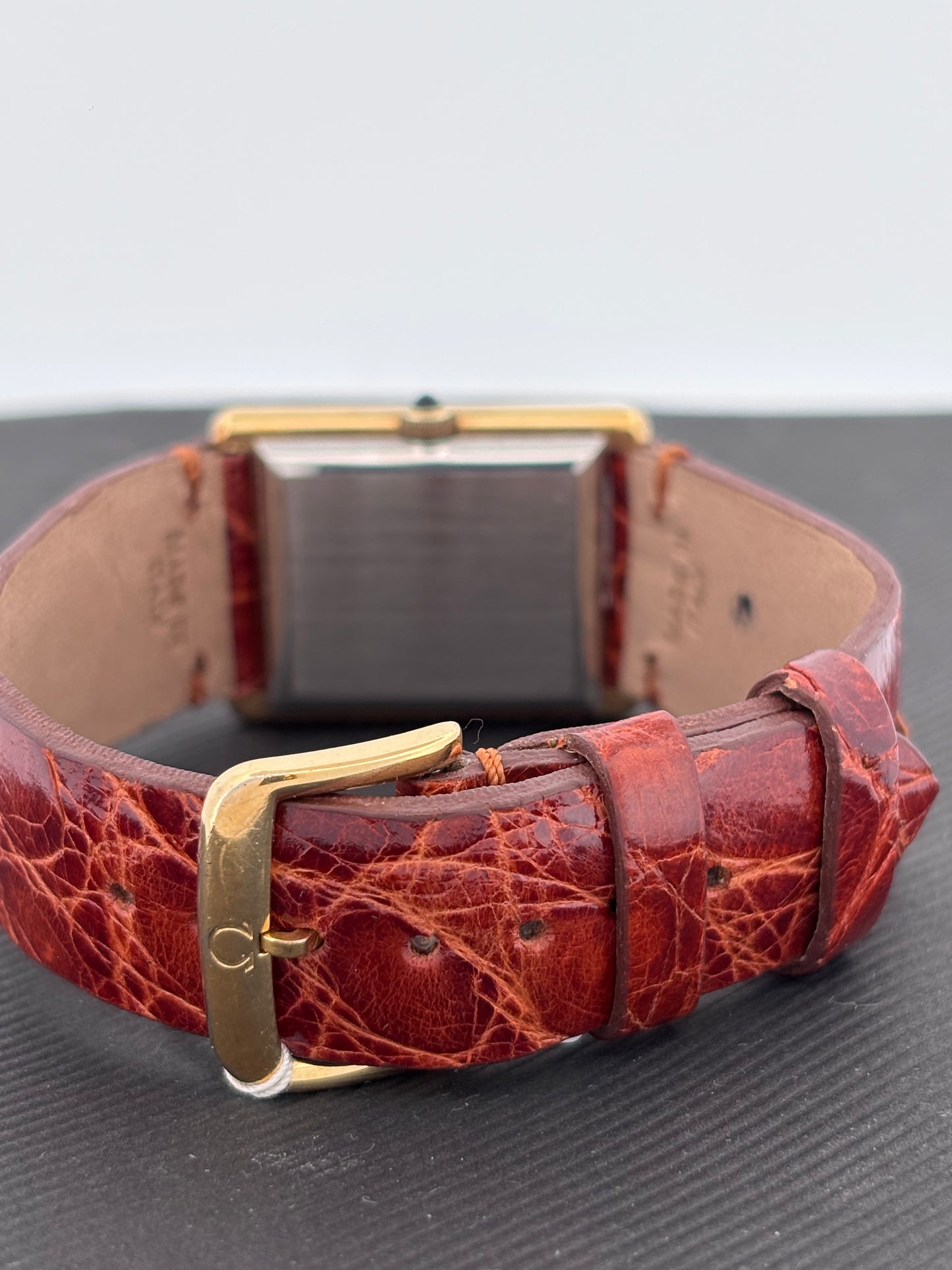 OMEGA GOLD AND STEEL