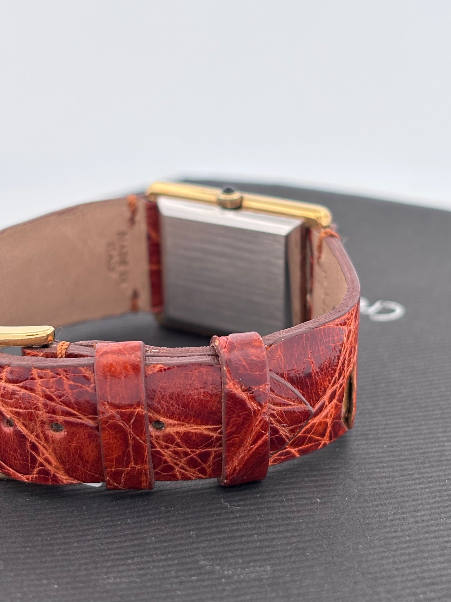 OMEGA GOLD AND STEEL