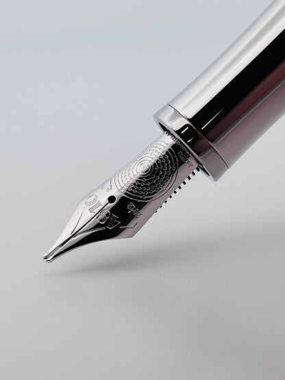 Montblanc Albert Einstein Édition Limitée Stylo Plume | Set Complet Neuf