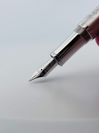 Montblanc Albert Einstein Édition Limitée Stylo Plume | Set Complet Neuf