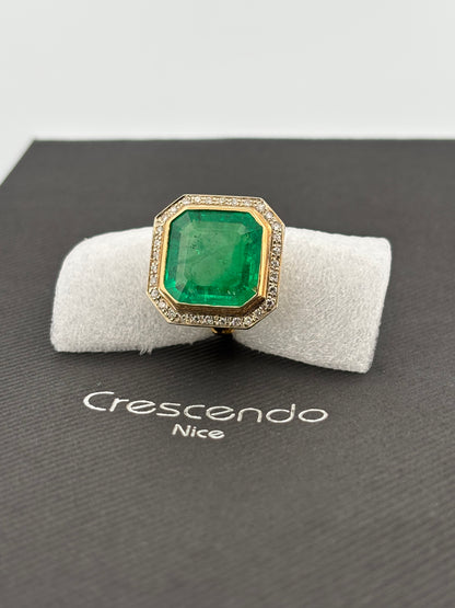 ÉMERAUDE | Colombie | 12 carats | Vert Vif | Taille Carrée