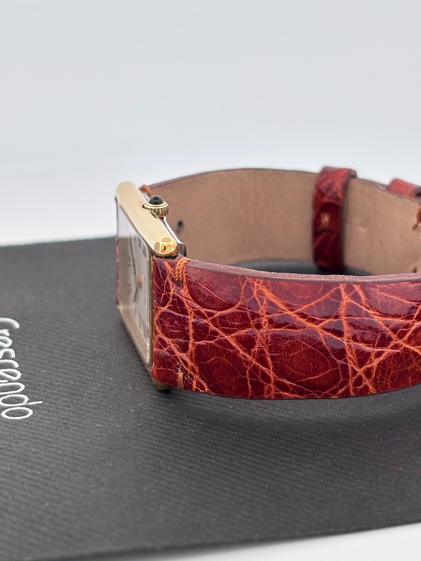 OMEGA GOLD AND STEEL