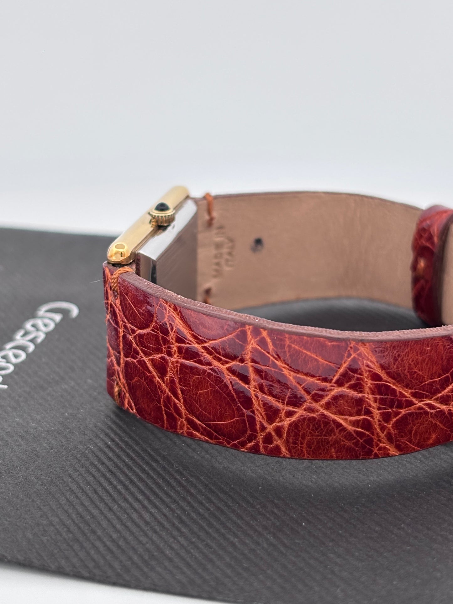 OMEGA GOLD AND STEEL