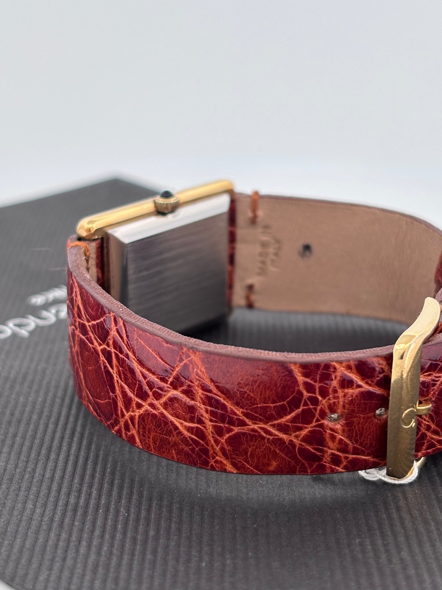 OMEGA GOLD AND STEEL