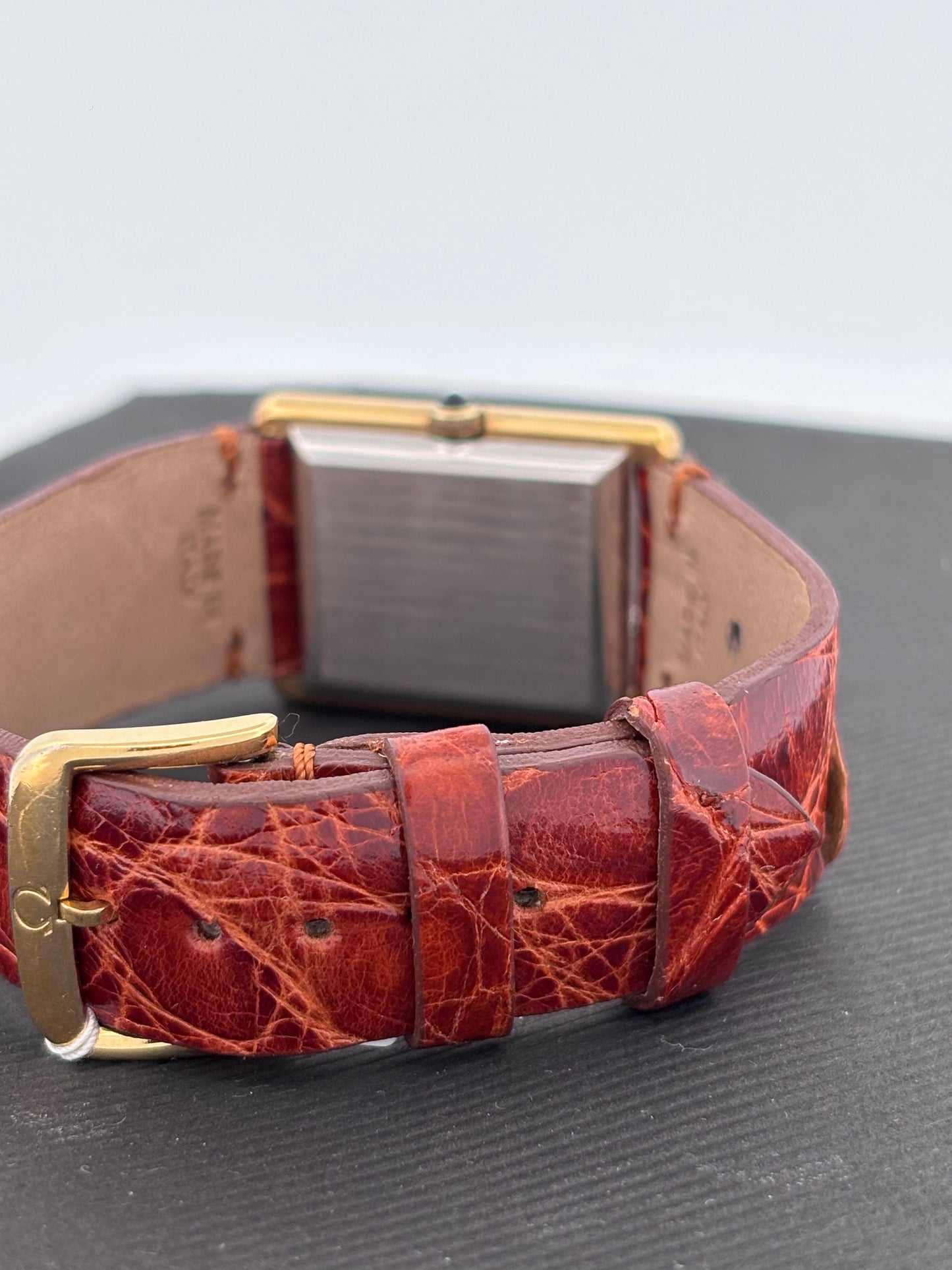 OMEGA GOLD AND STEEL